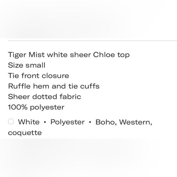 Tiger Mist Sheer White Chloe Lace Blouse Sz XS - Picture 5 of 5